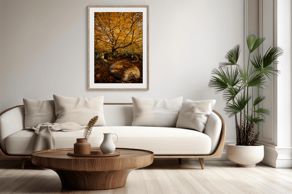 Framed woodland print of autumn roots and mossy millstone. A nature-inspired artwork capturing strength, resilience, and seasonal beauty.
