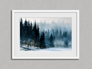Frosted Pines – Winter Forest Wall Art Print in a white frame with a mount