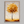 Framed wall art of a golden autumn tree in a minimalist cubist style. Soft, serene, and ready to hang.