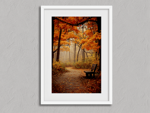 Golden Canopy Walk – Autumn Forest Wall Art in a white frame with a mount