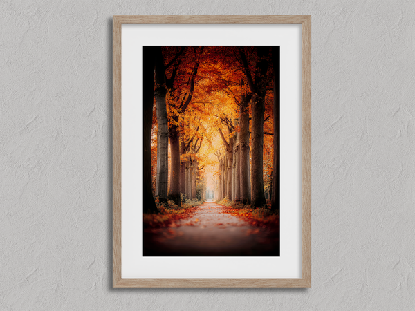 Framed wall art of a tree-lined autumn path beneath golden leaves. A nostalgic woodland print in warm light. Ready to hang.