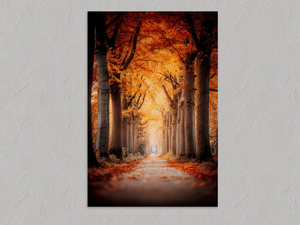 Golden Passage – Tree-Lined Autumn Wall Art, unframed print with no border