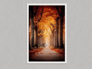 Golden Passage – Tree-Lined Autumn Wall Art, unframed print with a white border
