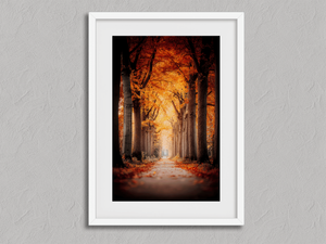 Golden Passage – Tree-Lined Autumn Wall Art in a white frame with a mount