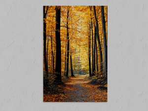 Golden Pathway – Autumn Forest Wall Art Print, unframed print with no border