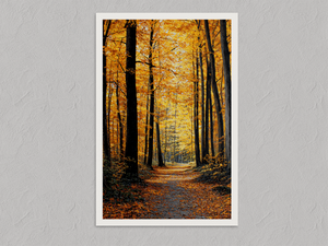 Golden Pathway – Autumn Forest Wall Art Print, unframed print with a white border