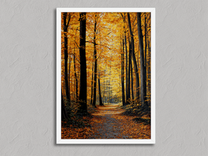 Golden Pathway – Autumn Forest Wall Art Print in a white frame, no mount