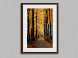 Framed golden woodland path print by Atelier Lumin