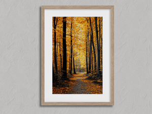 Framed autumn forest wall art print with amber light and golden leaves