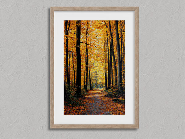 Framed wall art of a golden autumn forest path bathed in amber light. A tranquil seasonal woodland print. Ready to hang.
