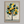 Unframed fine art print of a Mediterranean lemon tree in golds and greens. A playful citrus wall art design.