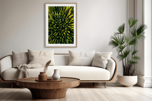 Framed aerial forest print of pine trees in golden light. A fine art wall piece capturing symmetry, balance, and nature’s quiet beauty.