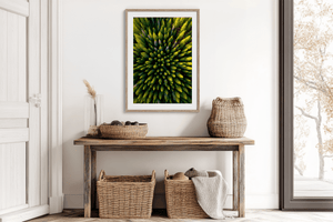 Aerial forest wall art styled in a calm neutral interior