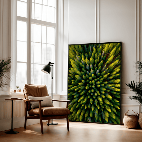 Framed aerial forest print of pine trees in golden light. A fine art wall piece capturing symmetry, balance, and nature’s quiet beauty.