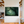 Framed canvas wall art of a mossy, mist-covered forest. Ethereal and calming. Ready to hang.