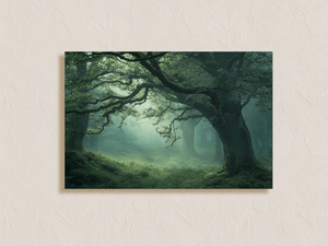 Unframed mystical oak forest canvas print with soft green mist