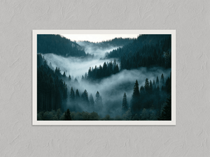Shadowed Valley – Misty Forest Wall Art Print, unframed print with a white border