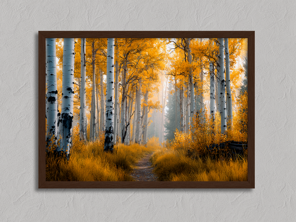 Framed wall art of silver birch trees glowing in golden light. A minimalist woodland print that brings calm and balance.
