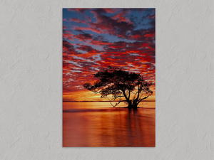 Solace at Sunrise – Sunset Tree Wall Art Print, unframed print with no border