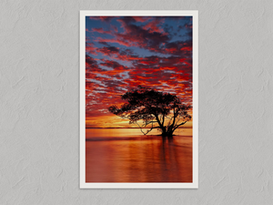 Solace at Sunrise – Sunset Tree Wall Art Print, unframed print with a white border