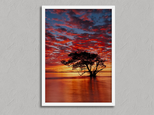 Solace at Sunrise – Sunset Tree Wall Art Print in a white frame, no mount
