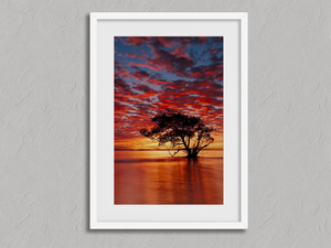 Solace at Sunrise – Sunset Tree Wall Art Print in a white frame with a mount