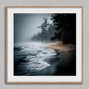 Bring serenity home with Solitary Shore, a fine art print of a misty sunrise beach scene with pines and gentle waves.