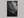 Study in Vein – Black and White Leaf Wall Art Print, unframed print with no border