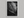 Study in Vein – Black and White Leaf Wall Art Print in a white frame, no mount