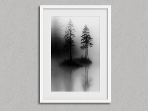 Twin Pines – Black and White Forest Wall Art in a white frame with a mount