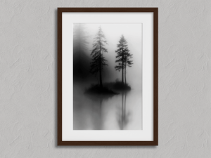 Framed monochrome pine tree reflection print by Atelier Lumin