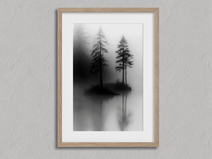 Framed black and white forest wall art print with twin pines and misty reflections