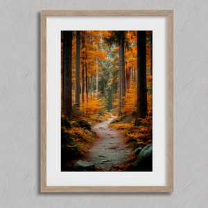 Framed wall art of an autumn woodland path with tall pines and golden leaves. A tranquil seasonal forest print. Ready to hang.