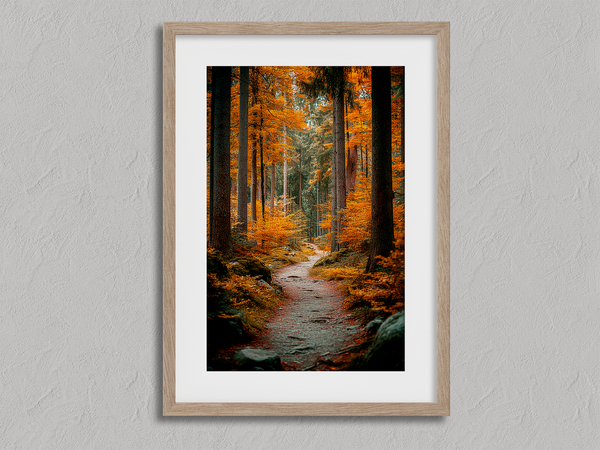 Framed wall art of an autumn woodland path with tall pines and golden leaves. A tranquil seasonal forest print. Ready to hang.