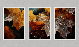 Whispers of Autumn – Autumn Triptych Wall Art, unframed print with a white border