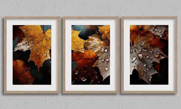 Bring autumn indoors with Whispers of Autumn, a vibrant triptych wall art print of richly coloured fall leaves with dewdrop detail.