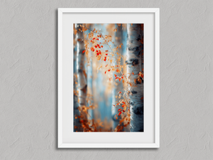 Whispers of the Birch – Birch Forest Wall Art in a white frame with a mount