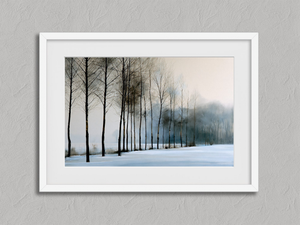 Winter Lines – Winter Forest Wall Art Print in a white frame with a mount
