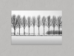 Winter Sentinels – Black & White Tree Wall Art, unframed print with no border
