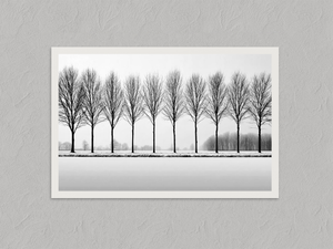 Winter Sentinels – Black & White Tree Wall Art, unframed print with a white border