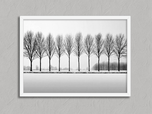 Winter Sentinels – Black & White Tree Wall Art in a white frame, no mount