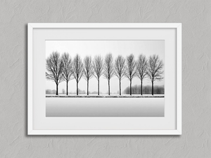 Winter Sentinels – Black & White Tree Wall Art in a white frame with a mount