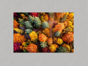 Woodland Mosaic – Aerial Autumn Forest Wall Art Print, unframed print with no border