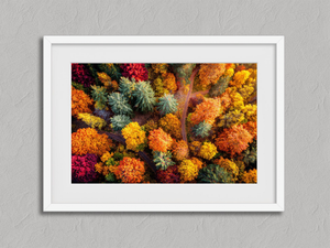 Woodland Mosaic – Aerial Autumn Forest Wall Art Print in a white frame with a mount