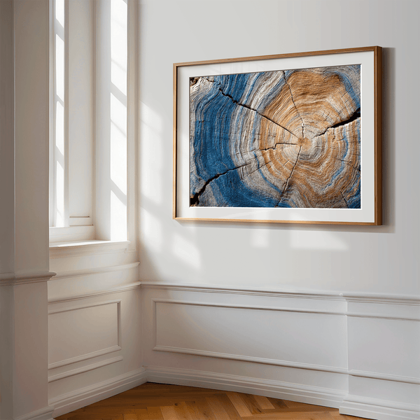 Framed fine art print of tree rings in horizontal view. A textured wall artwork that captures the memory and rhythm of the earth.