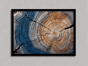 Framed wood grain wall art print by Atelier Lumin