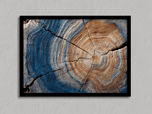 Framed fine art print of tree rings in horizontal view. A textured wall artwork that captures the memory and rhythm of the earth.
