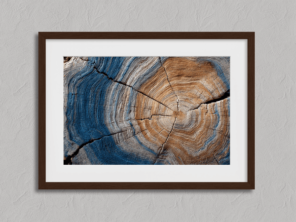 Framed fine art print of tree rings in horizontal view. A textured wall artwork that captures the memory and rhythm of the earth.