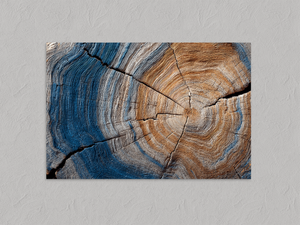 Years of the Earth – Horizontal Tree Ring Wall Art, unframed print with no border