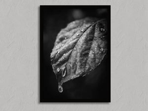 After Rain shown in a black frame without a border or mount.